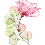 bloem-3